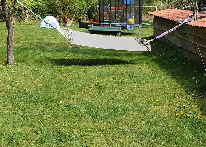 3 Birken * Briesen (Mark)