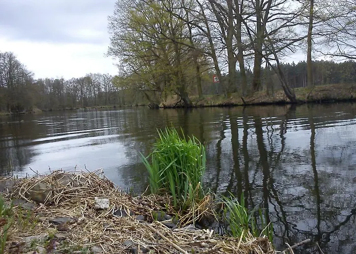 3 Birken Daire Briesen (Mark)